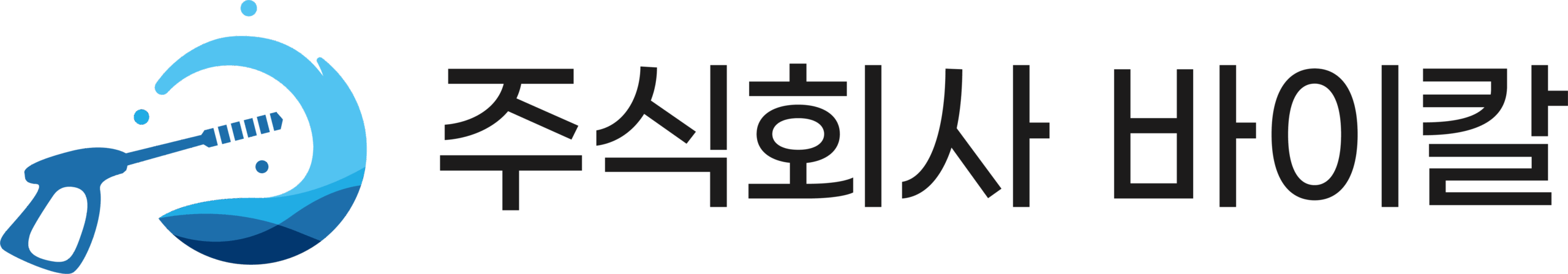 주식회사 바이칼